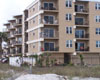 jacksonville oceanfront petfriendly condo