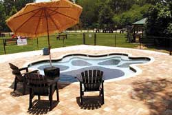 julington creek animal hospital