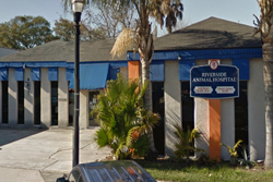 riverside animal hospital pet friendly jacksonville vet