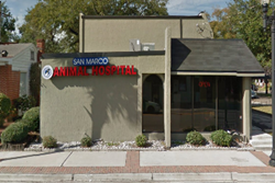 san marco animal hospital pet friendly jacksonville veterinarian