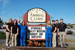 vet in jacksonville florida